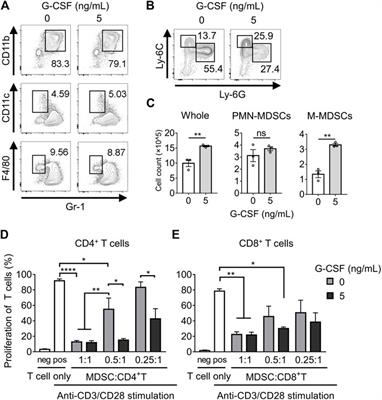 Frontiers | Targeting GGT1 Eliminates the Tumor-Promoting Effect 